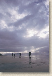 The majestic Te Wae Wae Bay