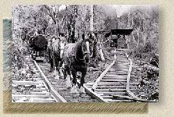 Horse and steam tramways