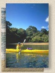 Sea kayaing in Paterson Inlet.