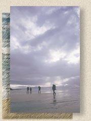 Beach Walk